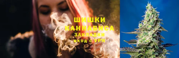 дживик Балахна